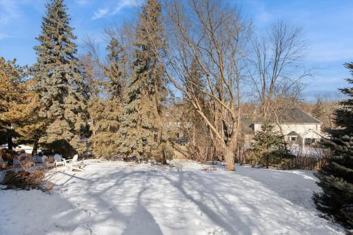 Huge back yard with firepit and terrific tree privacy arrangement