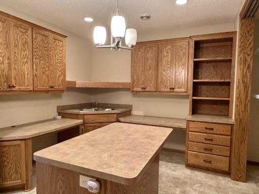 Welcome to the hobby room with added sink, lots of countertops, shelves and huge closet