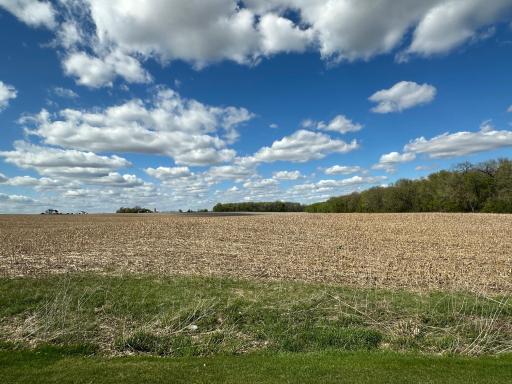 Beautiful open space right outside the home.