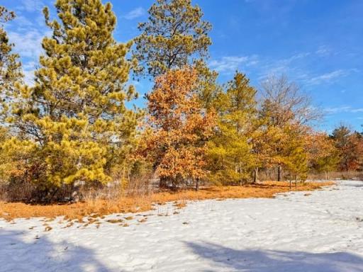 TBD Freedom Drive, Menahga, MN 56464