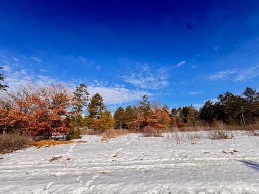 TBD Freedom Drive, Menahga, MN 56464