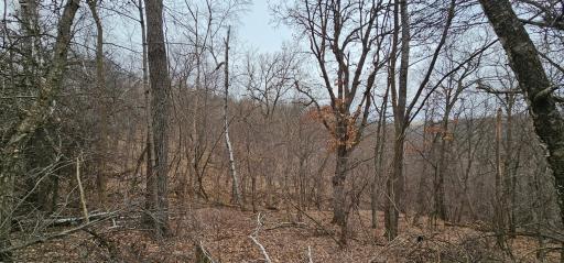 8492 Glory Road, Houston, MN 55943