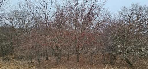 8492 Glory Road, Houston, MN 55943