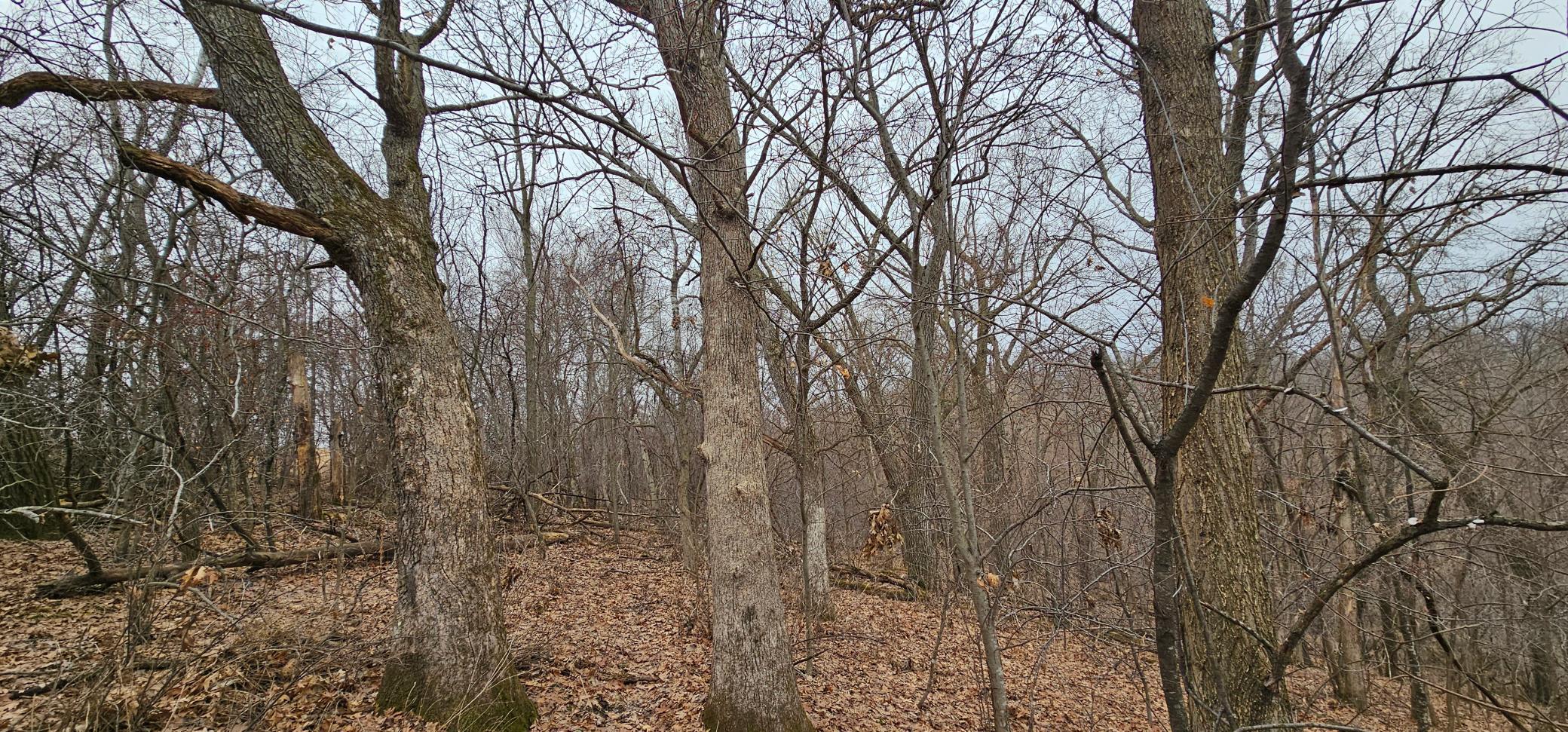 20260219_103632.jpg