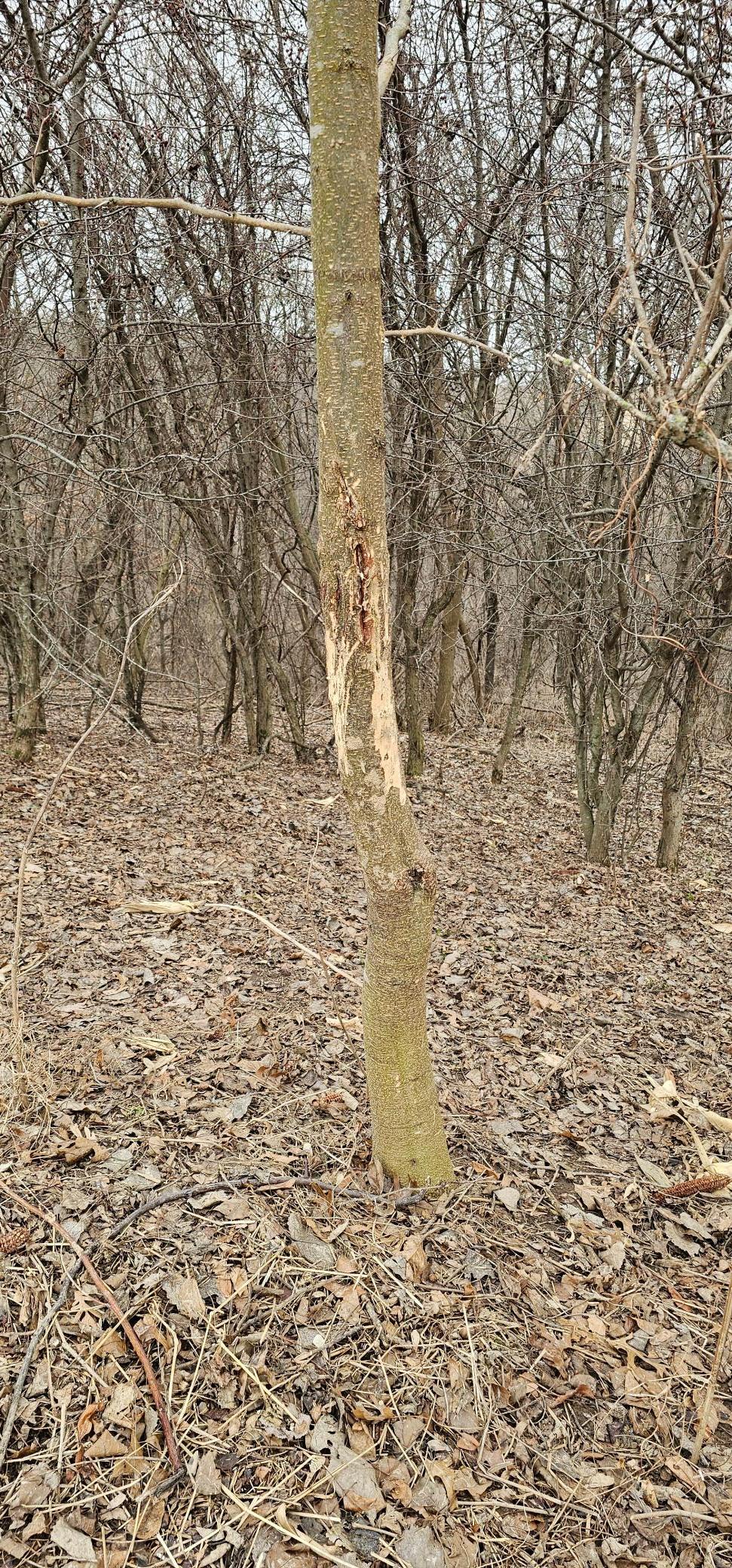 20260219_111403.jpg