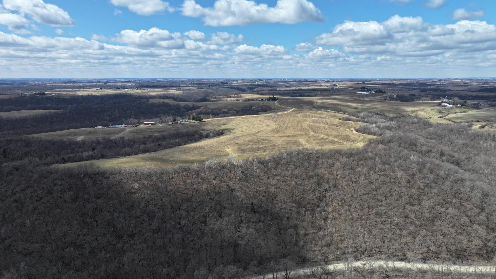 DJI_20260327124122_0702_D.JPG