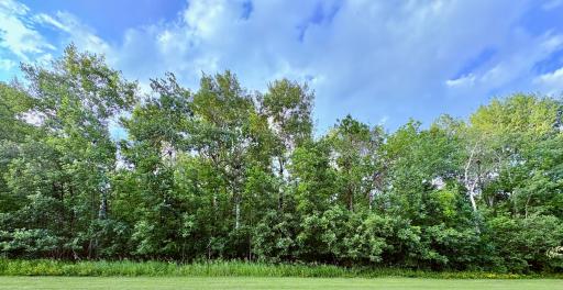 Lot is through the trees- looking from MN ave