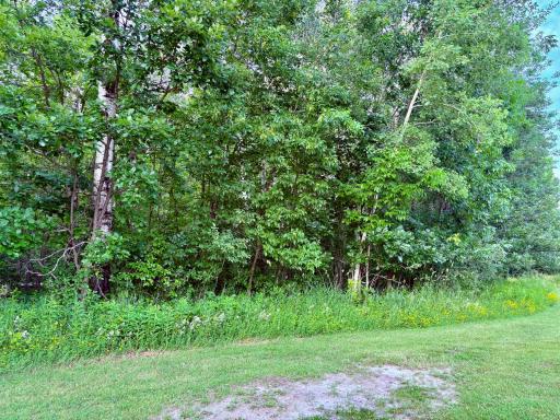 Wooded lot