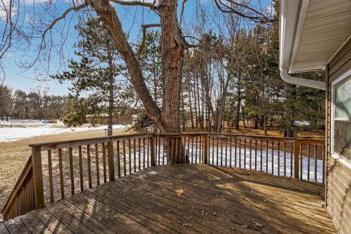 20236 Killdeer Street NW, Cedar, MN 55011