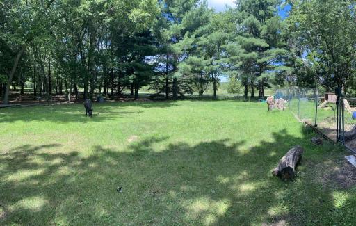 20236 Killdeer Street NW, Cedar, MN 55011