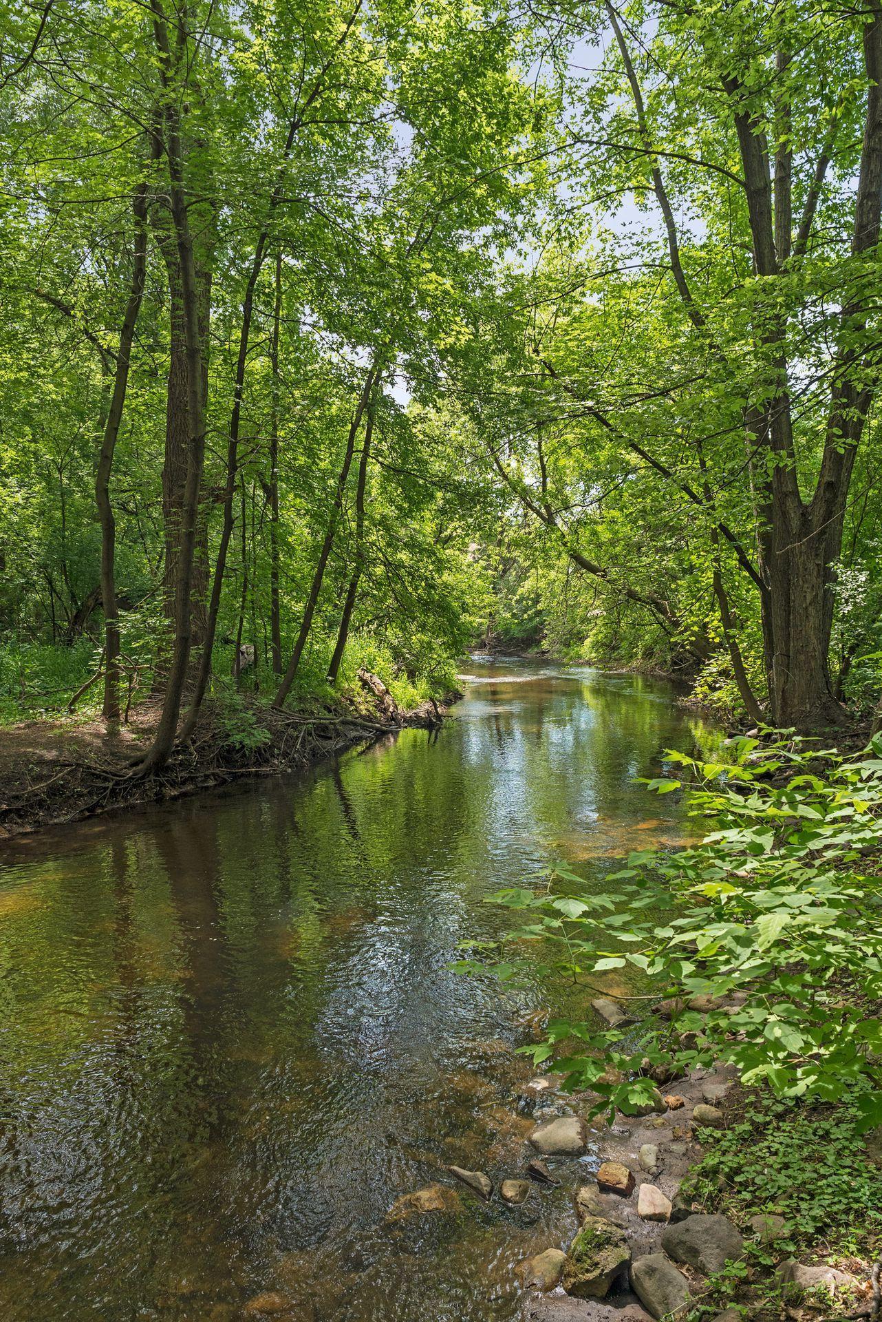 Minnehaha creek