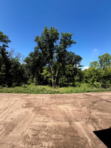 View from the backyard! This home is nestled on a private, wooded lot.