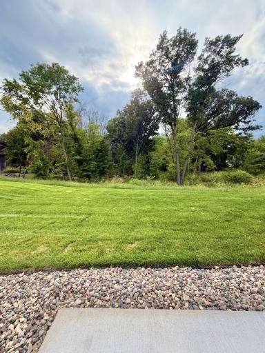 Your backyard view! This home sits on a 0.24 acre wooded lot.