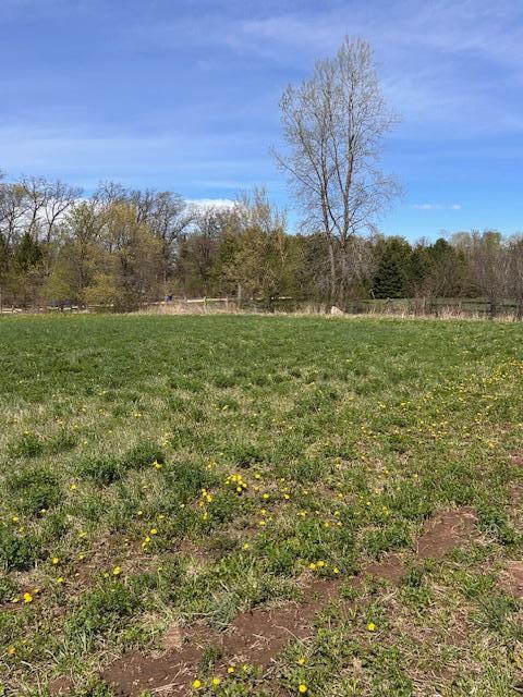 IMG_0361.jpeg