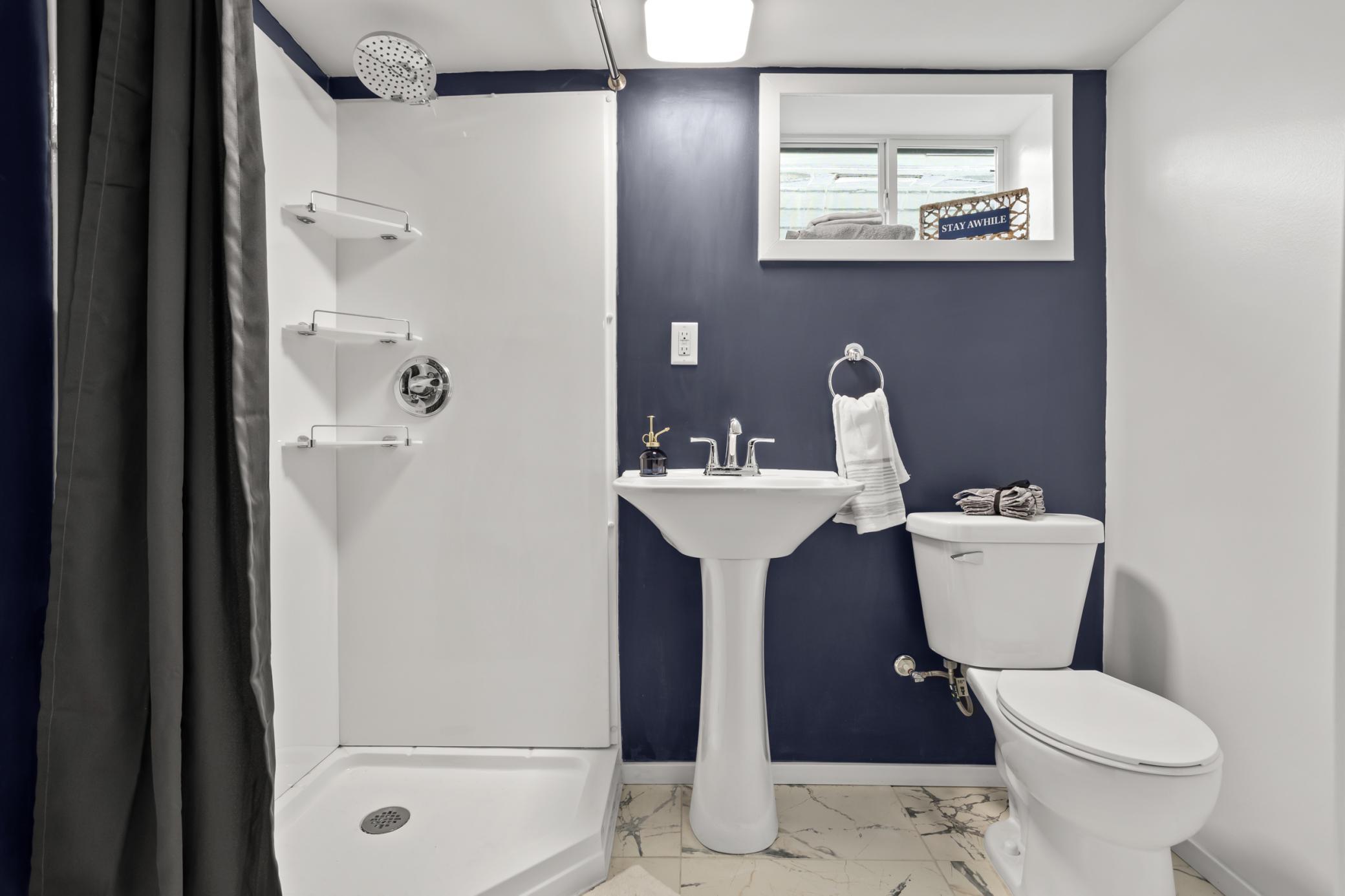 Basement bathroom 2