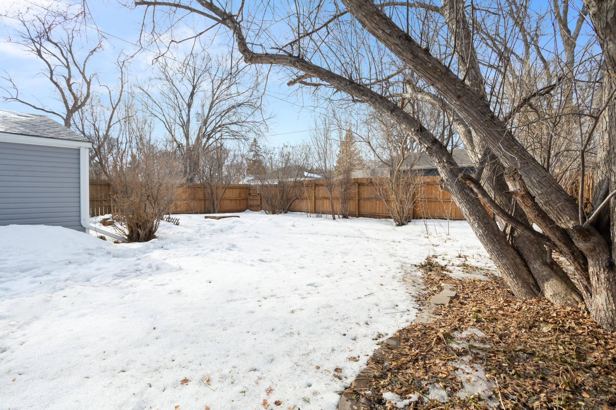 Fenced in backyard