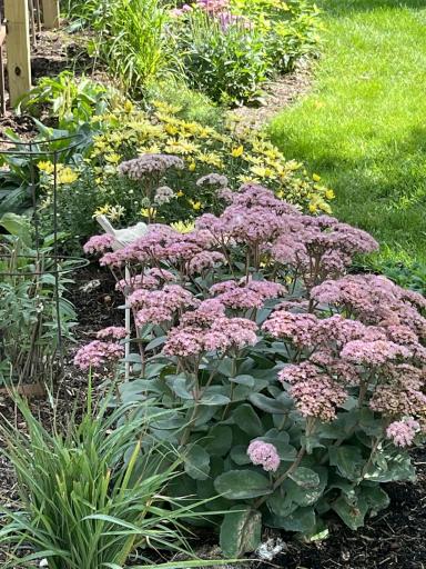 Some of the Many Beautiful Plantings Around this Well Cared for Home and Manicured Yard!!!