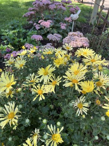 Some of the Many Beautiful Plantings Around this Well Cared for Home and Manicured Yard!!!