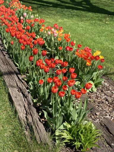 Some of the Many Beautiful Plantings Around this Well Cared for Home and Manicured Yard!!!