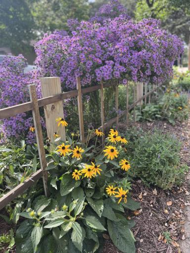 Some of the Many Beautiful Plantings Around this Well Cared for Home and Manicured Yard!!!