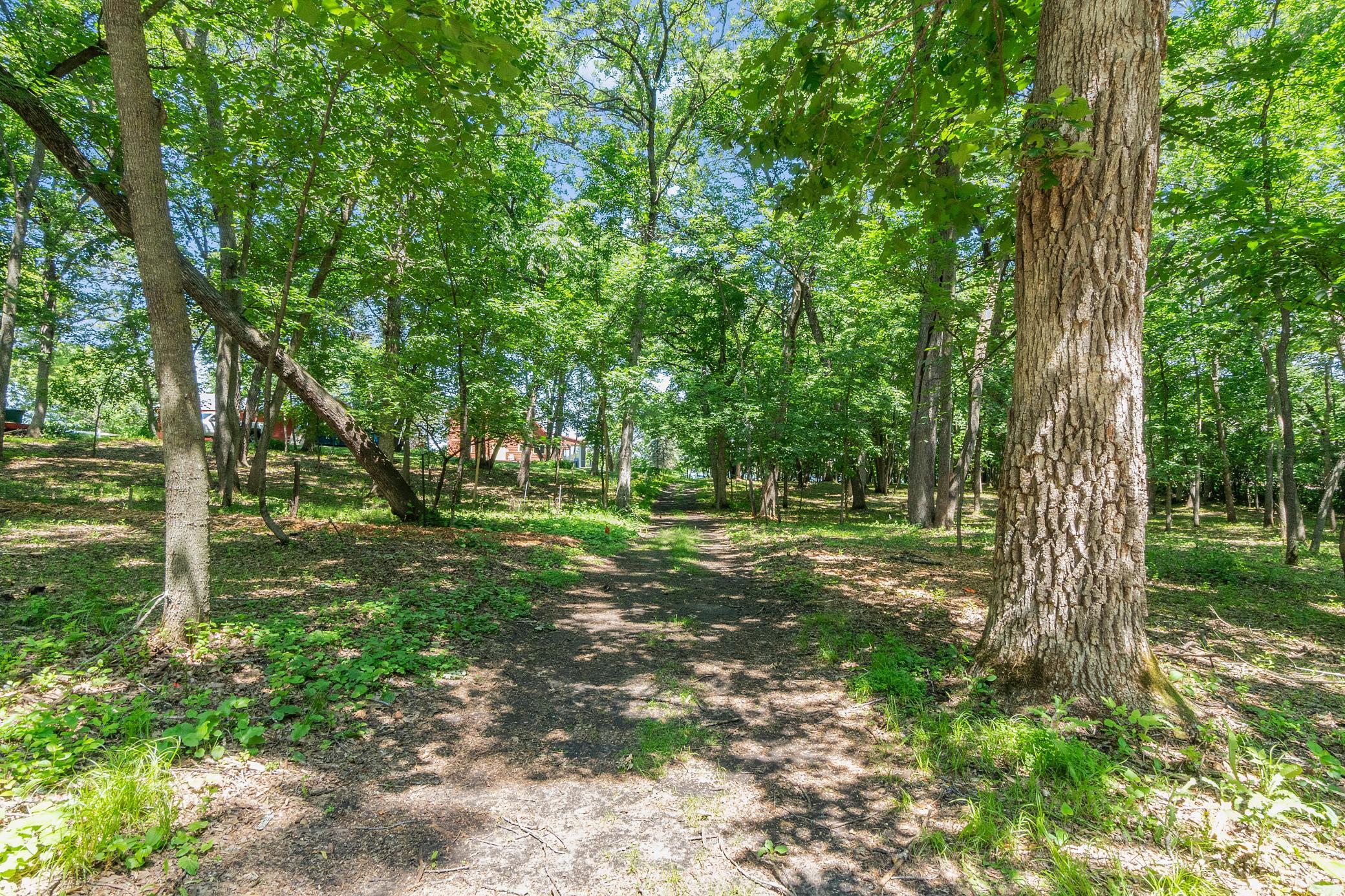 Lake Path