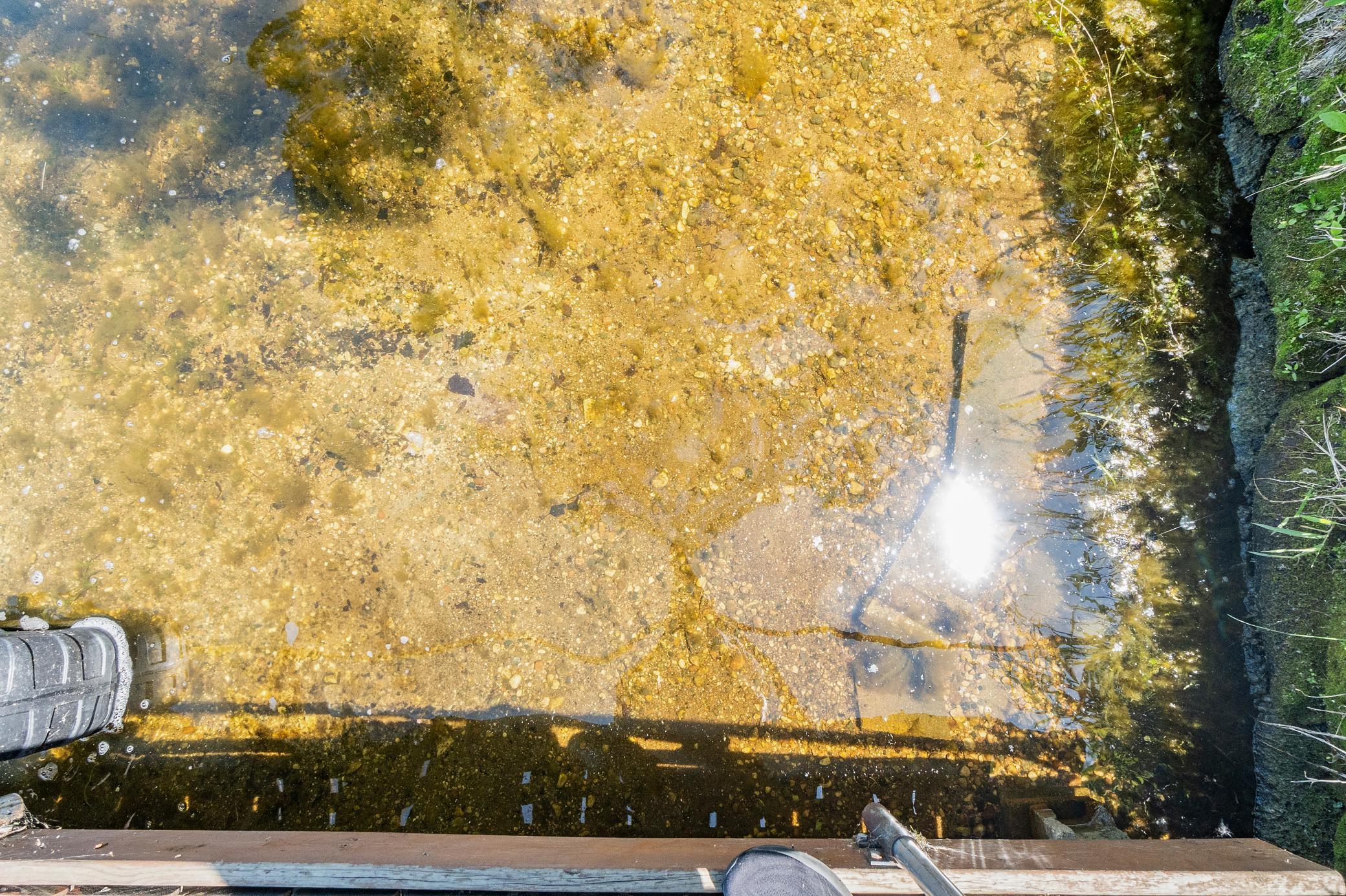 Clear Water