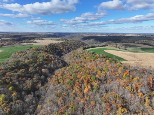 26085 Frank Hill Road, Winona, MN 55987