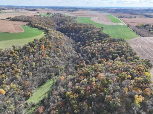 26085 Frank Hill Road, Winona, MN 55987