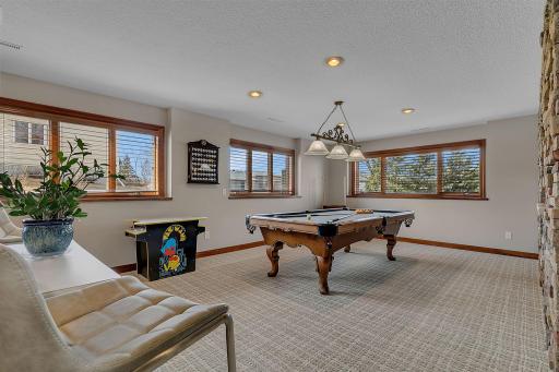 Lower Level Family Room with Daylight Lookout Windows