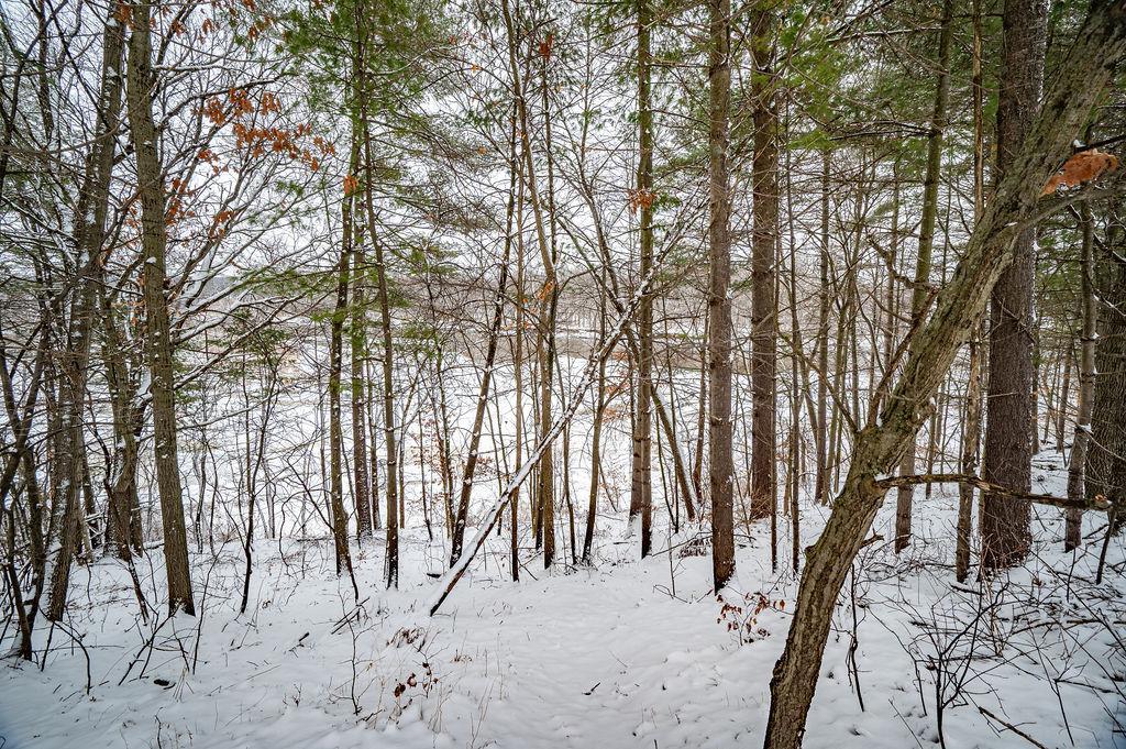 DSC_7944-HDR.jpg
