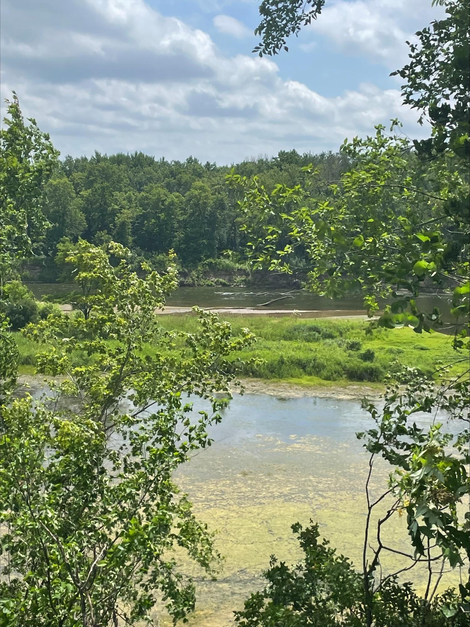 Red Cedar River