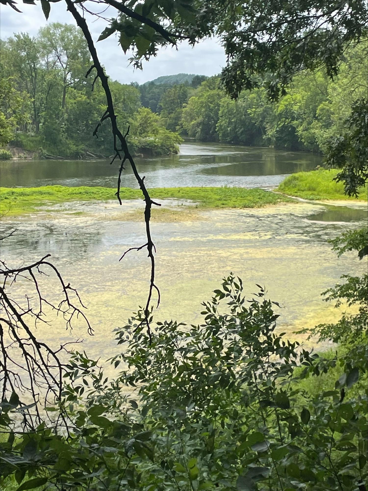 Red Cedar River