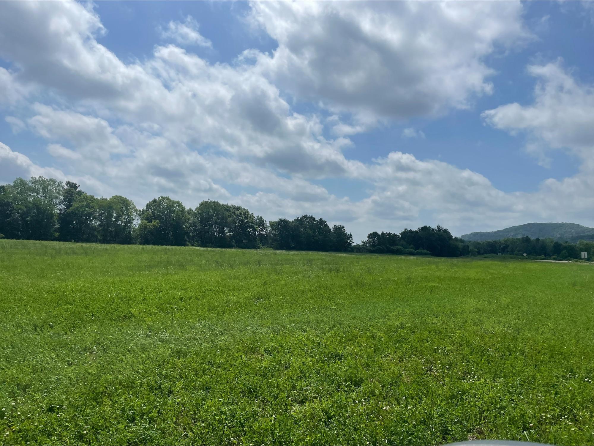 16.91 Acres, State Rd 25