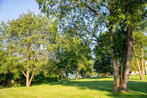 32592 Juniper Road, Chatfield, MN 55923