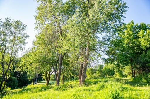 32592 Juniper Road, Chatfield, MN 55923