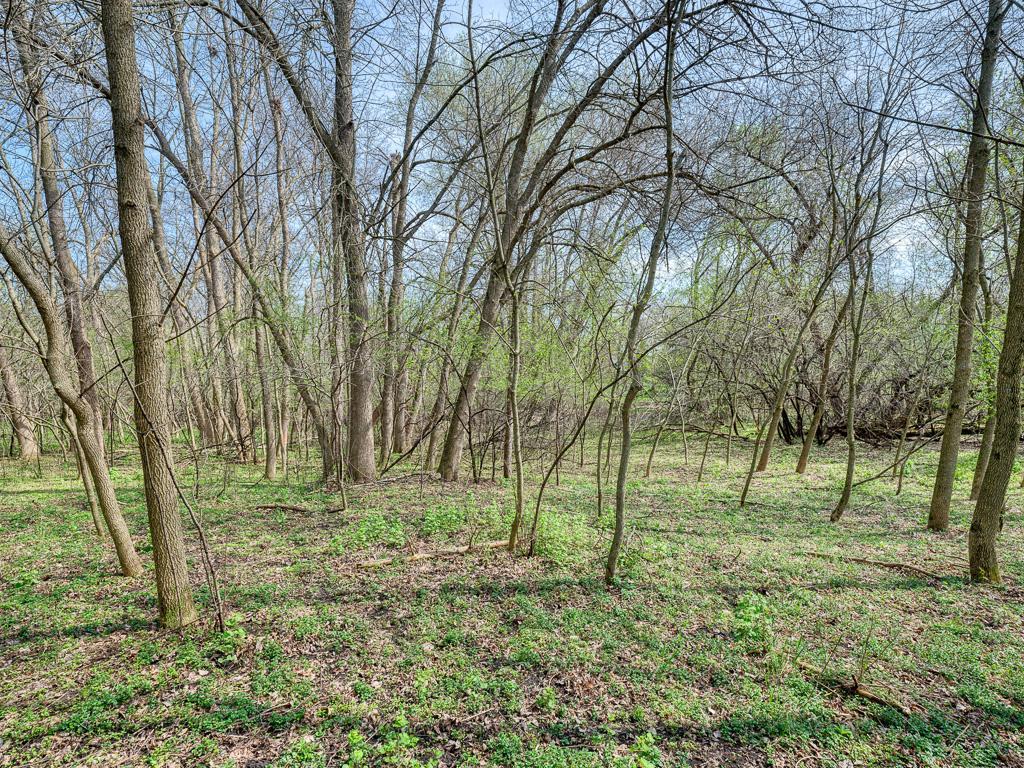3- Lot.jpg