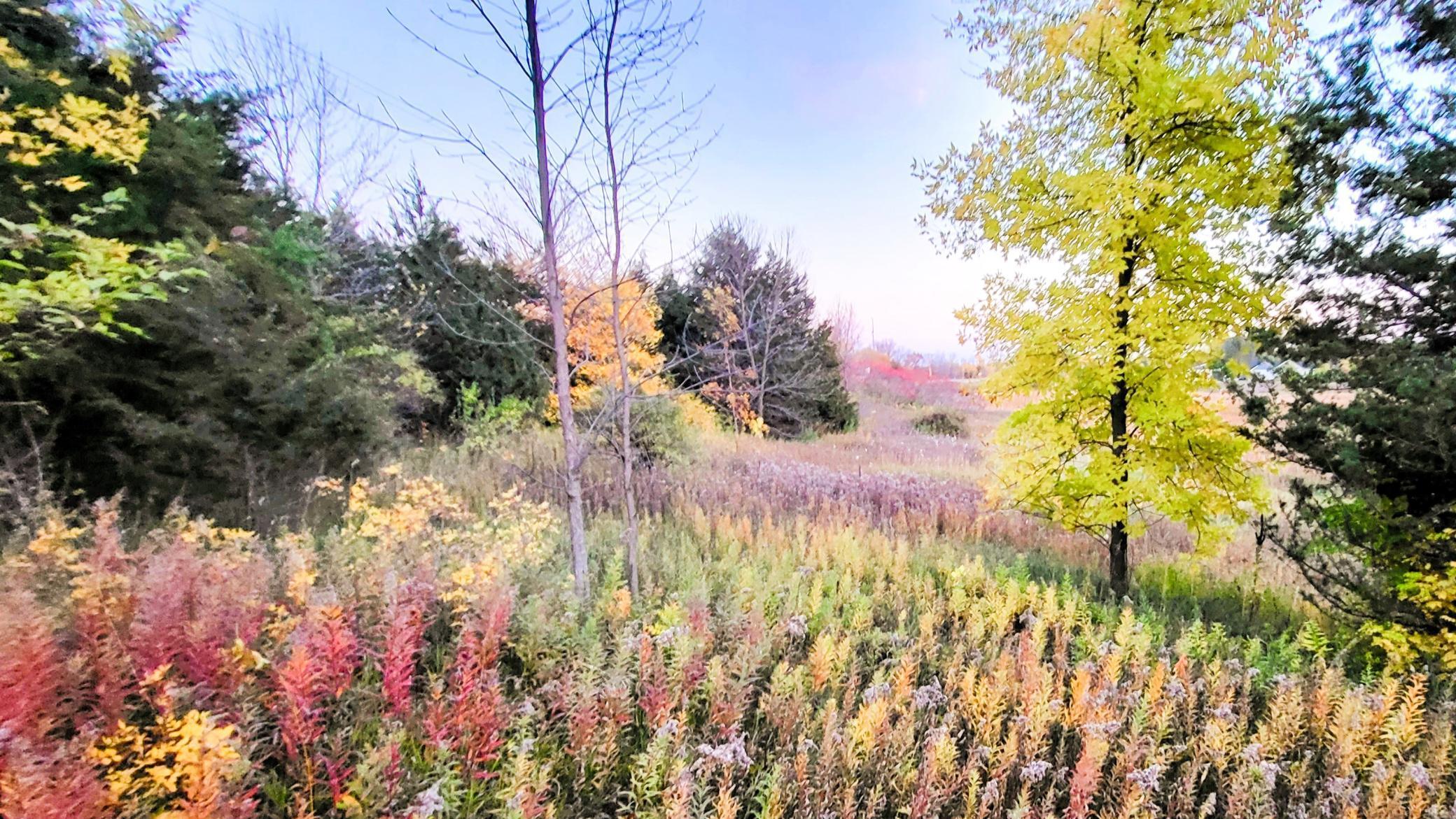 Northside of the home looking to a possible extensive large yard with the lakefront to the right.