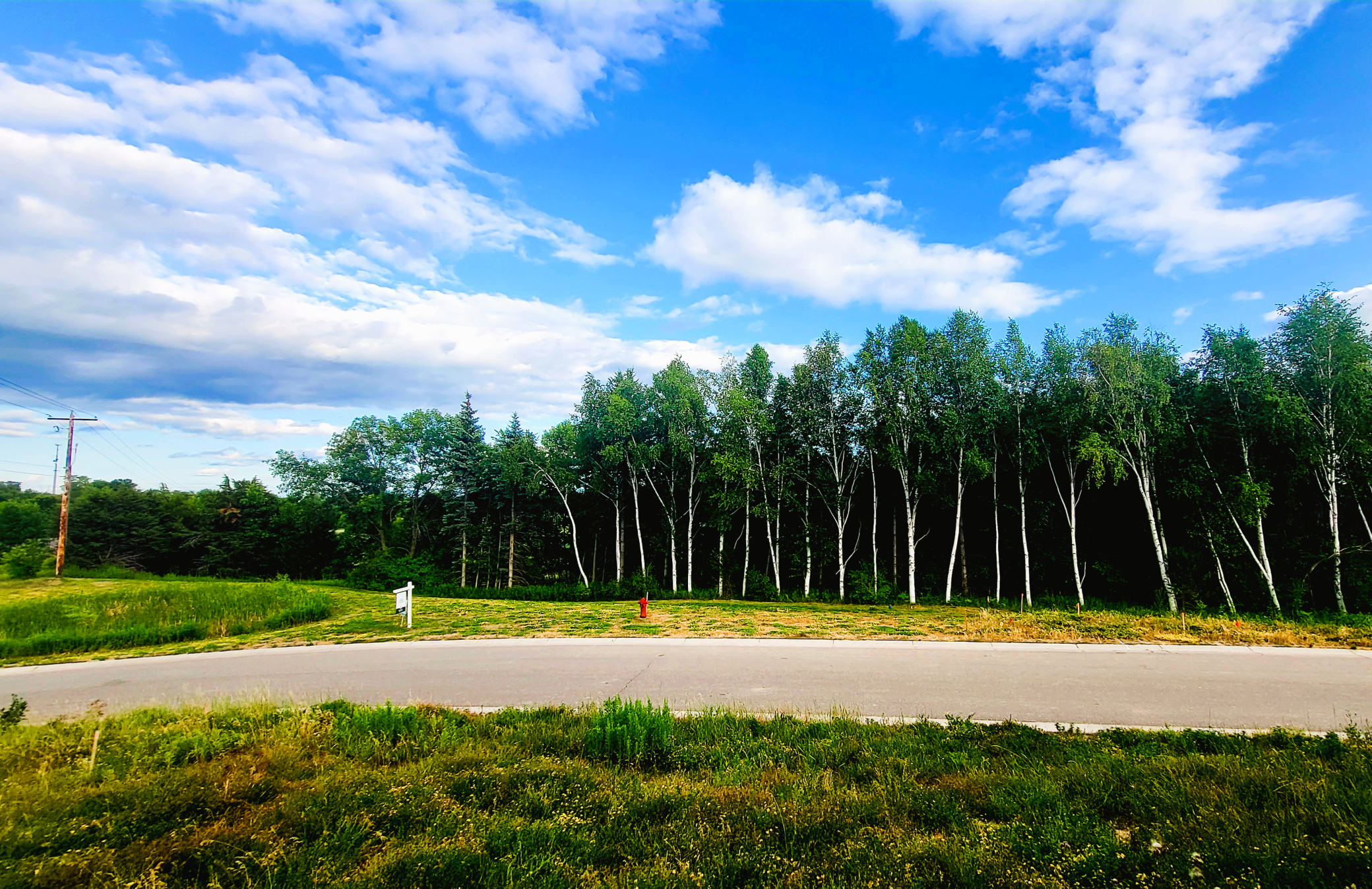 30339 Orchard Ct street view looking onto the front of the Lot