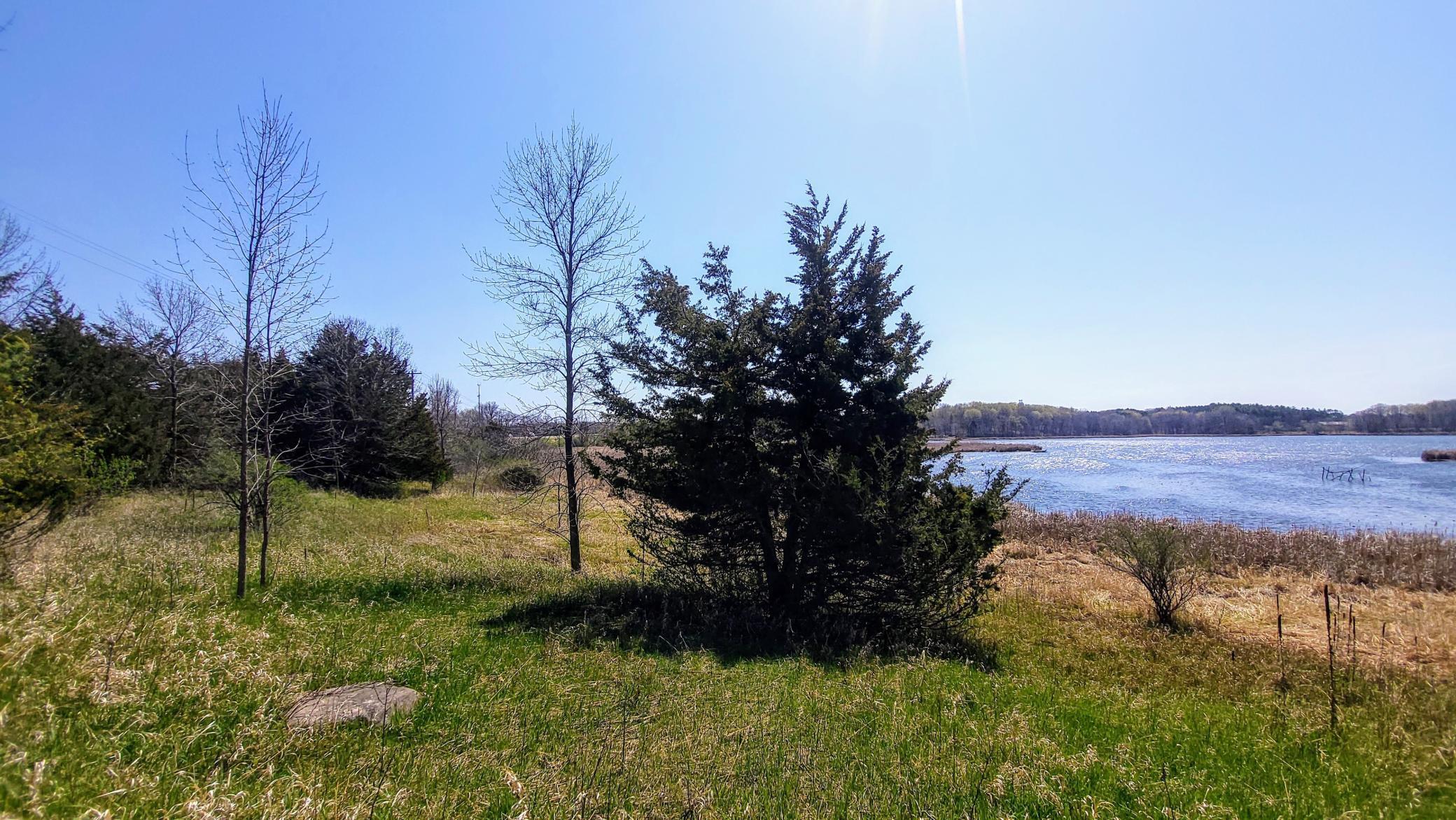 Near the North border where the North side of the home looking at a very large space with a lot of potential for a yard etc...