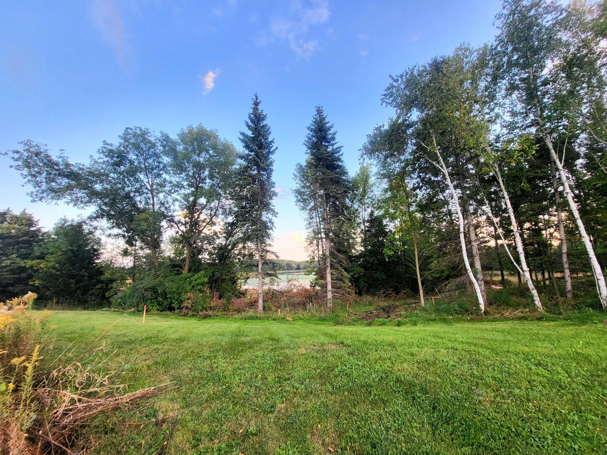 View to the lake from the front of the lot. Building area is the tree line which will be removed for construction.jpg