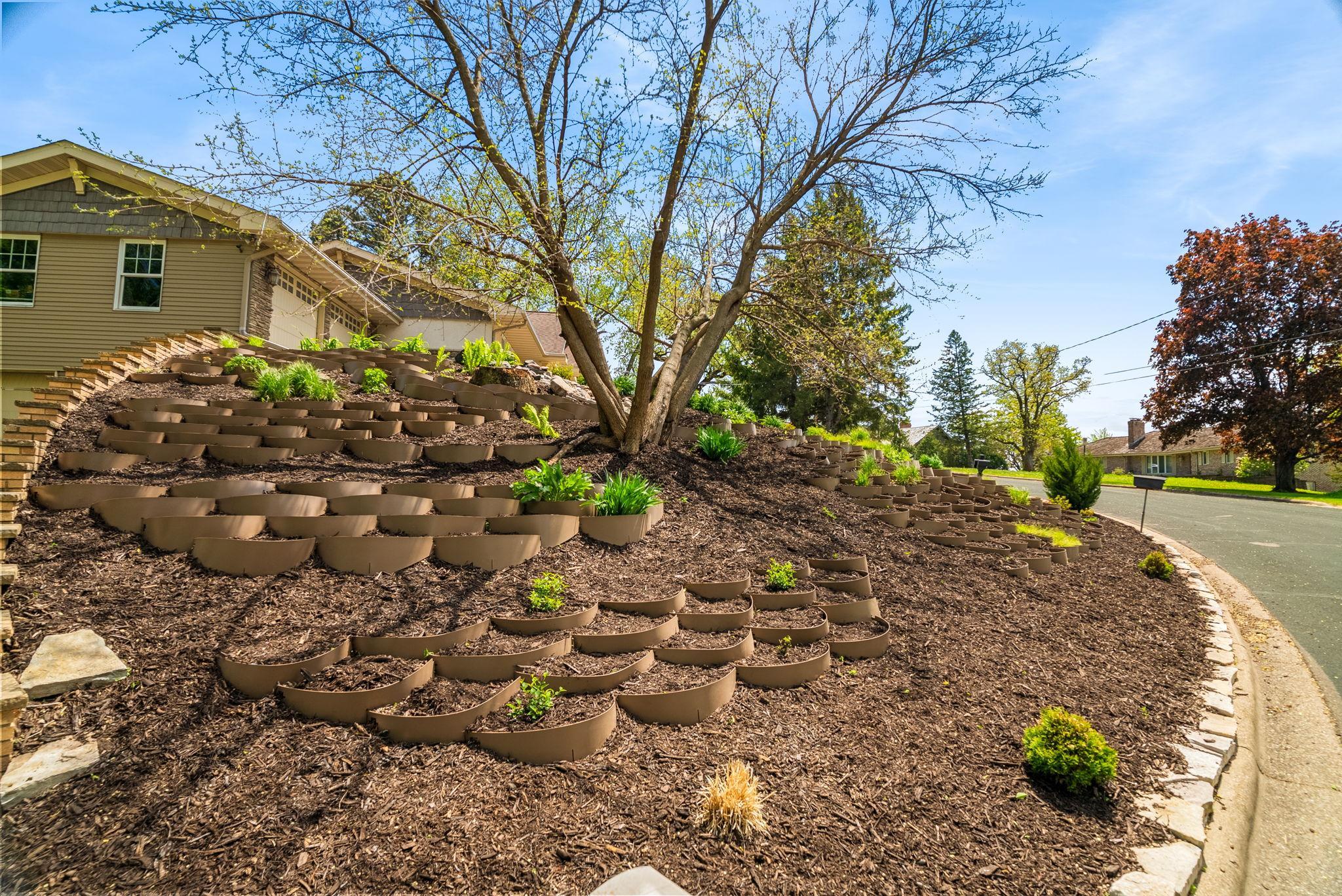 Tons of native plants and perennials blooming all season long.