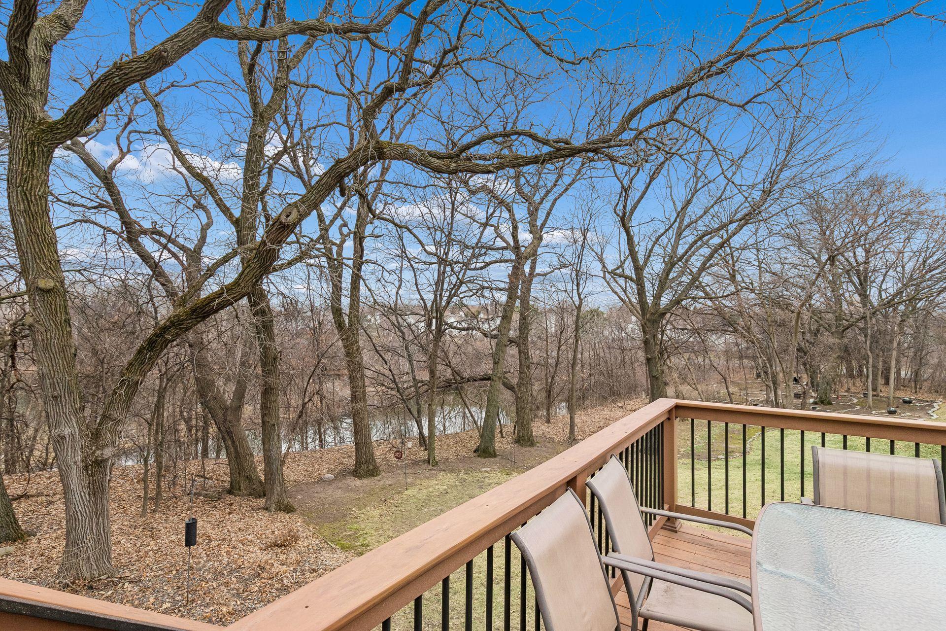 Pond View from the deck