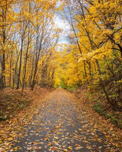 The property sits right on the Dakota Rail Trail. Run, bike, and walk with your weighted vest.