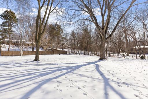 972 Lydia Drive W, Roseville, MN 55113