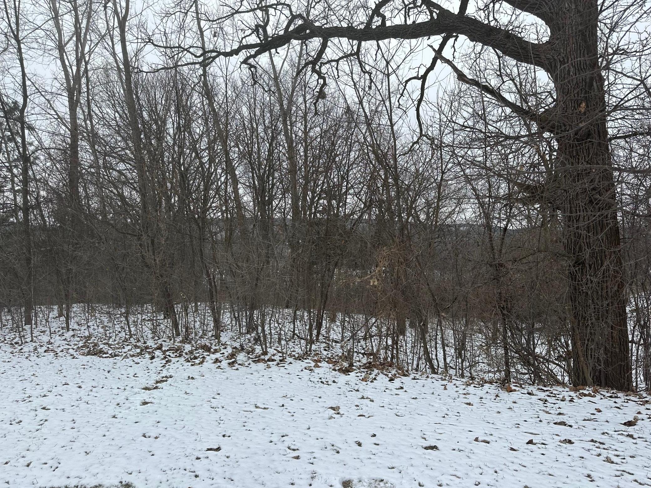 IMG_6314.jpeg