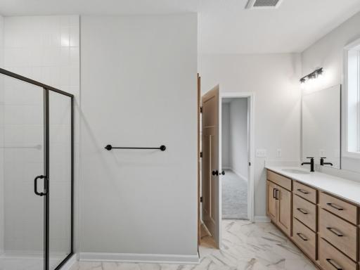 Owner's Bathroom