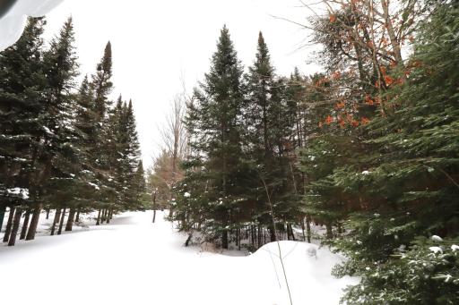 31715 Star Route Road, Bayfield, WI 54814