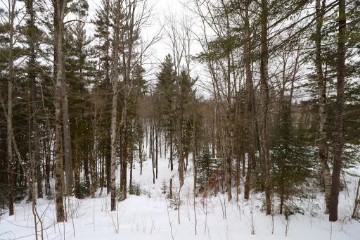 31715 Star Route Road, Bayfield, WI 54814