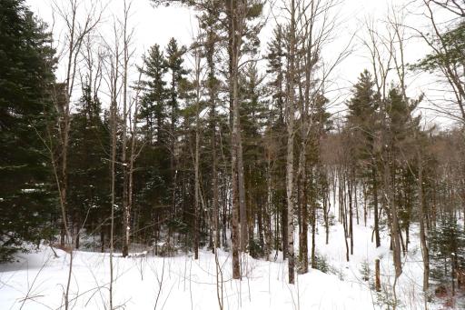 31715 Star Route Road, Bayfield, WI 54814