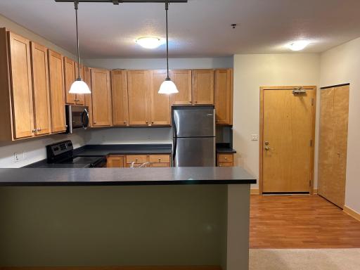 2900 University Avenue SE, 411, Minneapolis, MN 55414